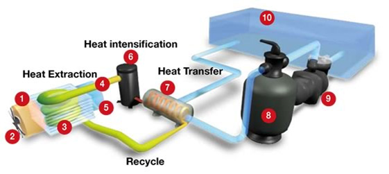 how a pool heat pump works